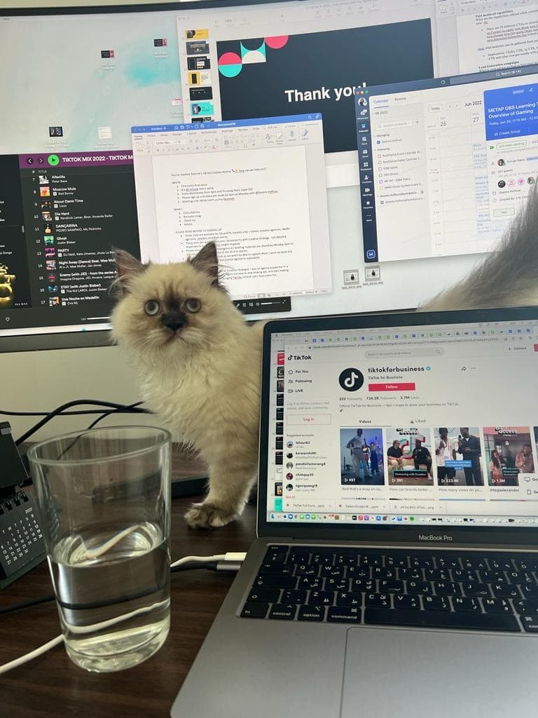 Wedding Memory - Before